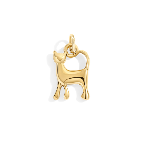 Cat Charm