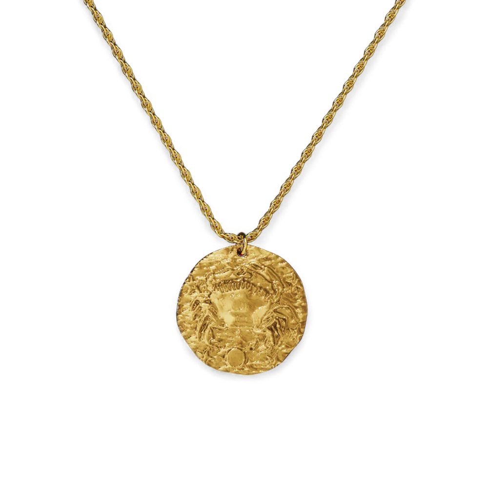 Hammered Gold Zodiac Pendant Necklace